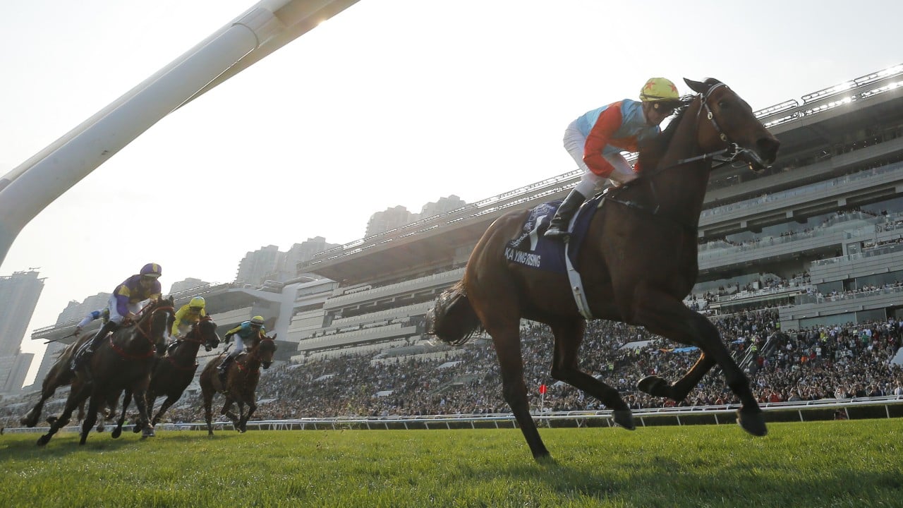 Another undefeated season the prime aim for David Hayes with champion sprinter Ka Ying Rising