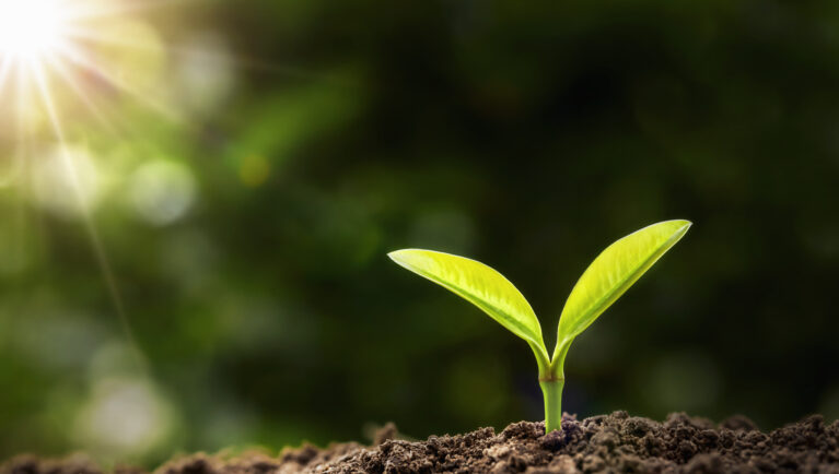 ABRATES Releases Free Digital Reference on Seed Pathology