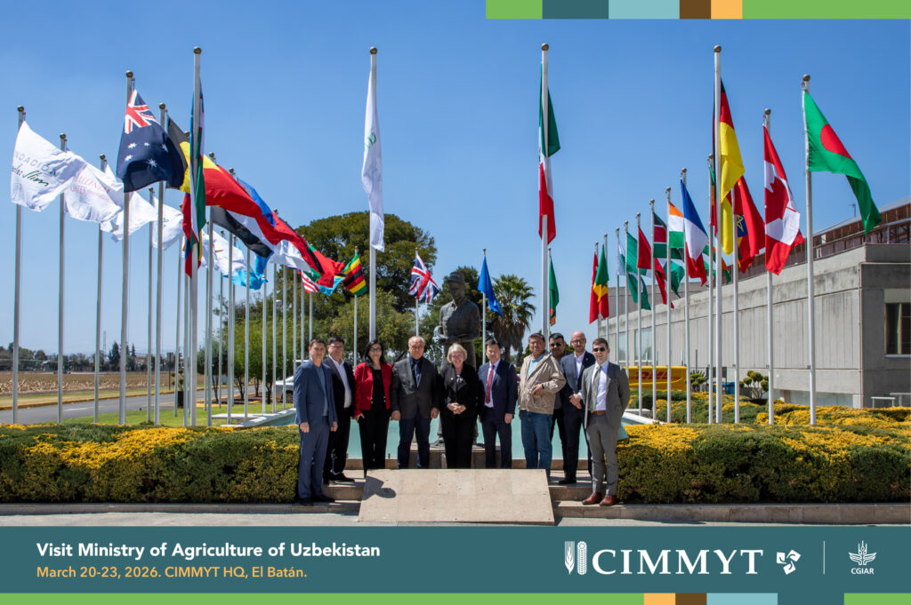 CIMMYT and Uzbekistan Strengthen Partnership to Advance Climate-Resilient Wheat Systems