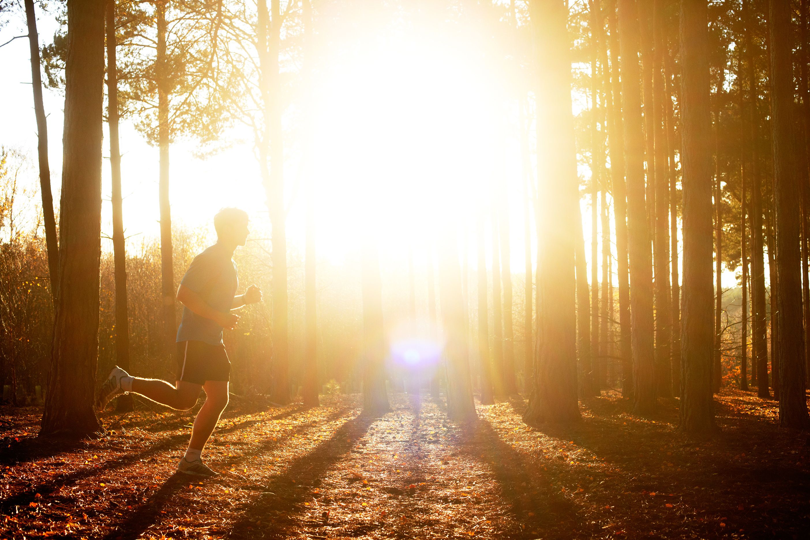 I tested whether cannabis really can boost the runner’s high