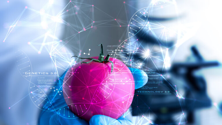 TomViz Platform Opens Access to Tomato Gene Regulatory Networks