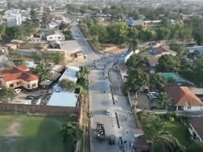 DRC: Urban trees are natural CO₂ stores that merit closer attention