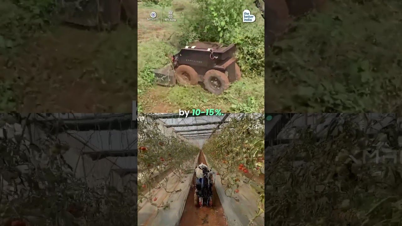 AI Robots Cut Chemicals & Labour on Farms