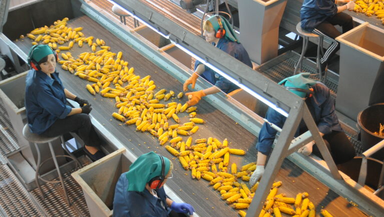 Ukraine’s Seed Sector During the Russian Invasion of Ukraine: Production, Exports and EU Integration