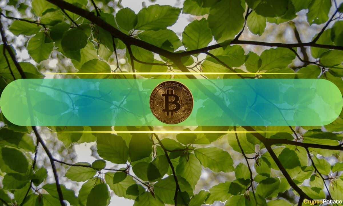 Is This 45-Day Ceasefire Report Behind Bitcoin’s Price Jump on Monday?