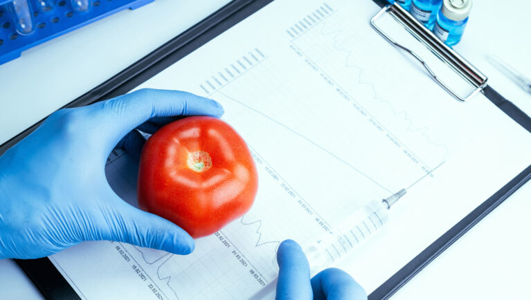 Argentina revisa la normativa sobre OMG para impulsar la innovación en la agricultura
