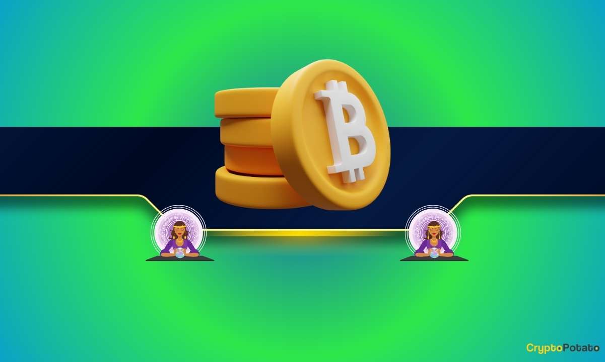 Bitcoin Whales Go on Big Accumulation Spree but Don’t Be Bullish Just Yet: Analysts