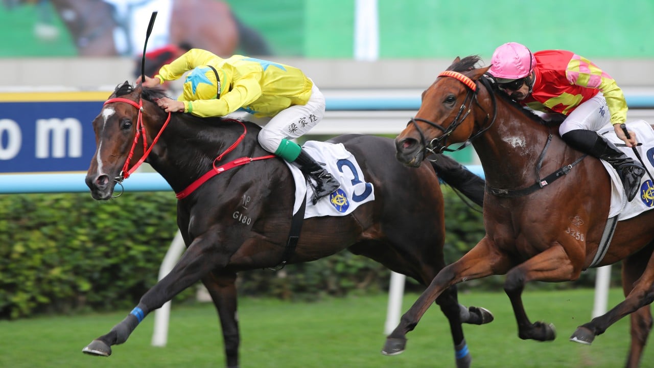 Bold decision pays off as Lucky Sweynesse steps out of the shadows for Group Two glory