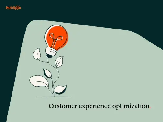 Customer experience optimization: A guide for growing businesses