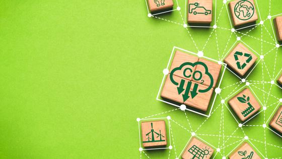Climate Change and the Environment