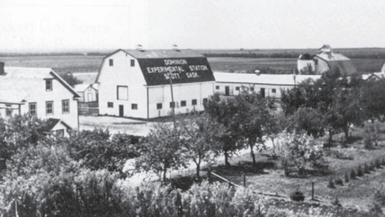 Saskatchewan Seed Growers Call for Reversal of AAFC Facility Closures in Indian Head and Scott