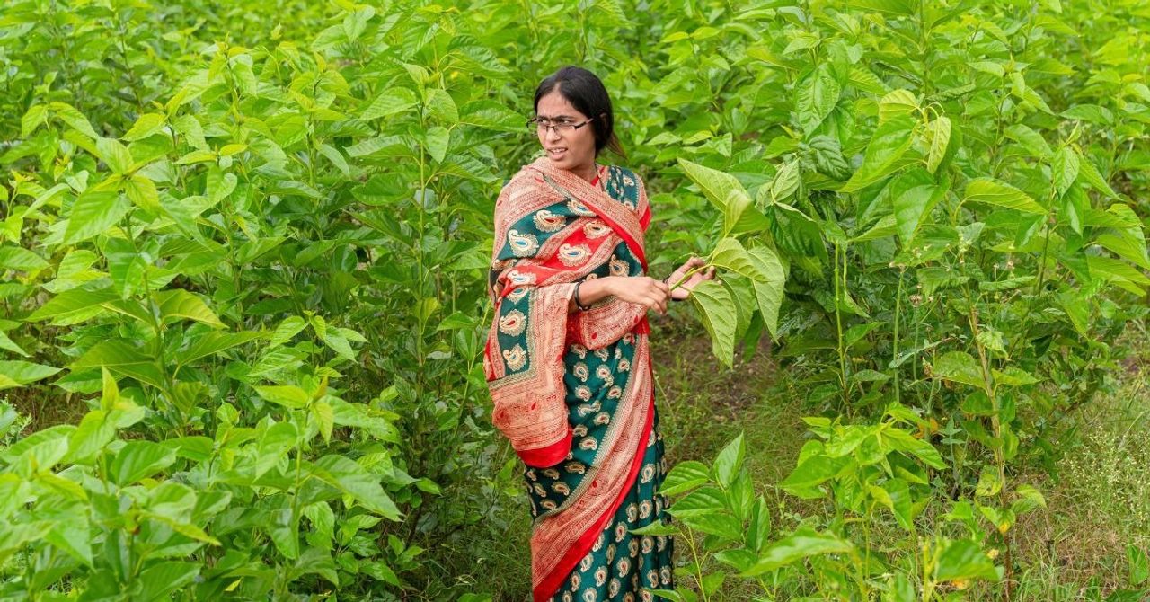 How Women Came to Make Up Nearly 50% of India’s Agriculture Students