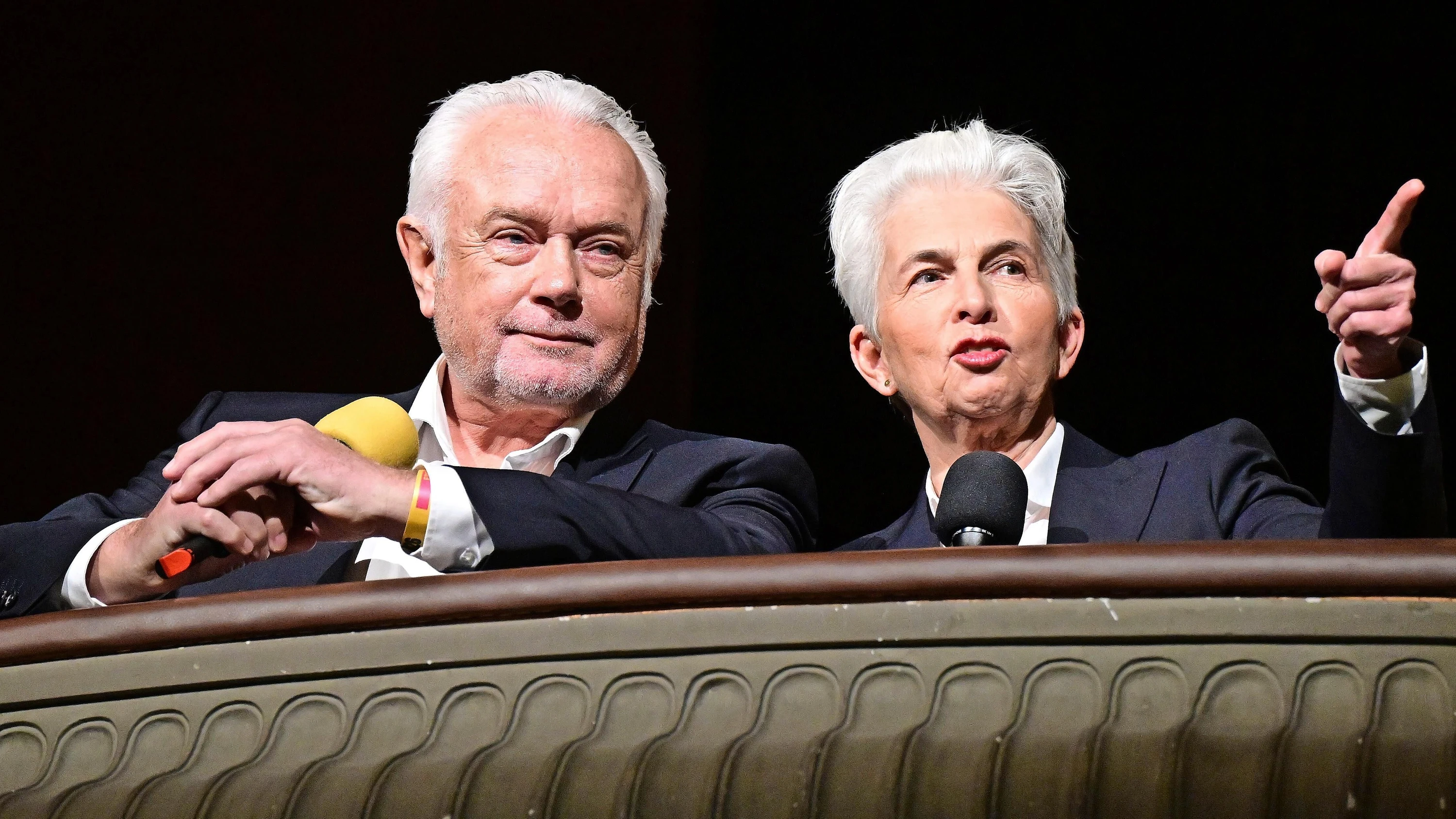 Kubickis Kandidatur: Schlachtross, Quälgeist, Kandidat