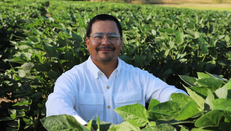 Researchers Develop Soybean Line with Stronger Resistance to Aphids and Mosaic Virus