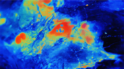 Once Thought To Support Neurons, Astrocytes Turn Out To Be in Charge