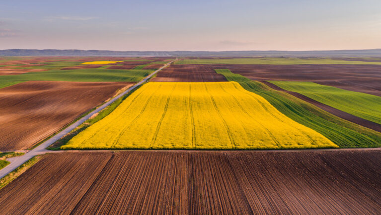 Canada-China Trade Reset Signals New Opportunities for Canadian Seed and Canola Exports