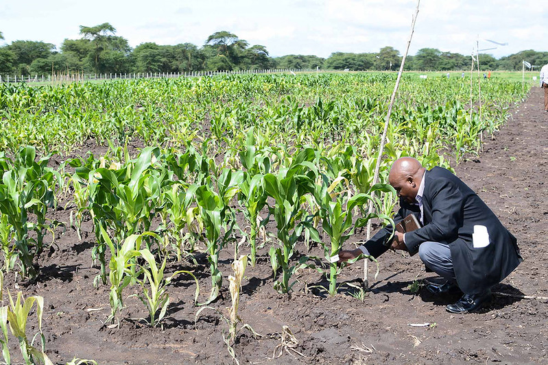 Green Energy Transforming Agricultural Research Facilities in Kenya