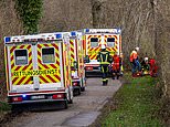 Mother, 21, and her baby among three crushed to death by 100ft tree during Easter egg hunt in Germany