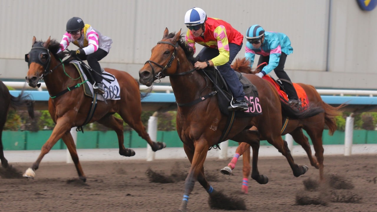 Mark Newnham hopes return to mile and Group Two level propels My Wish to Chairman’s Trophy glory