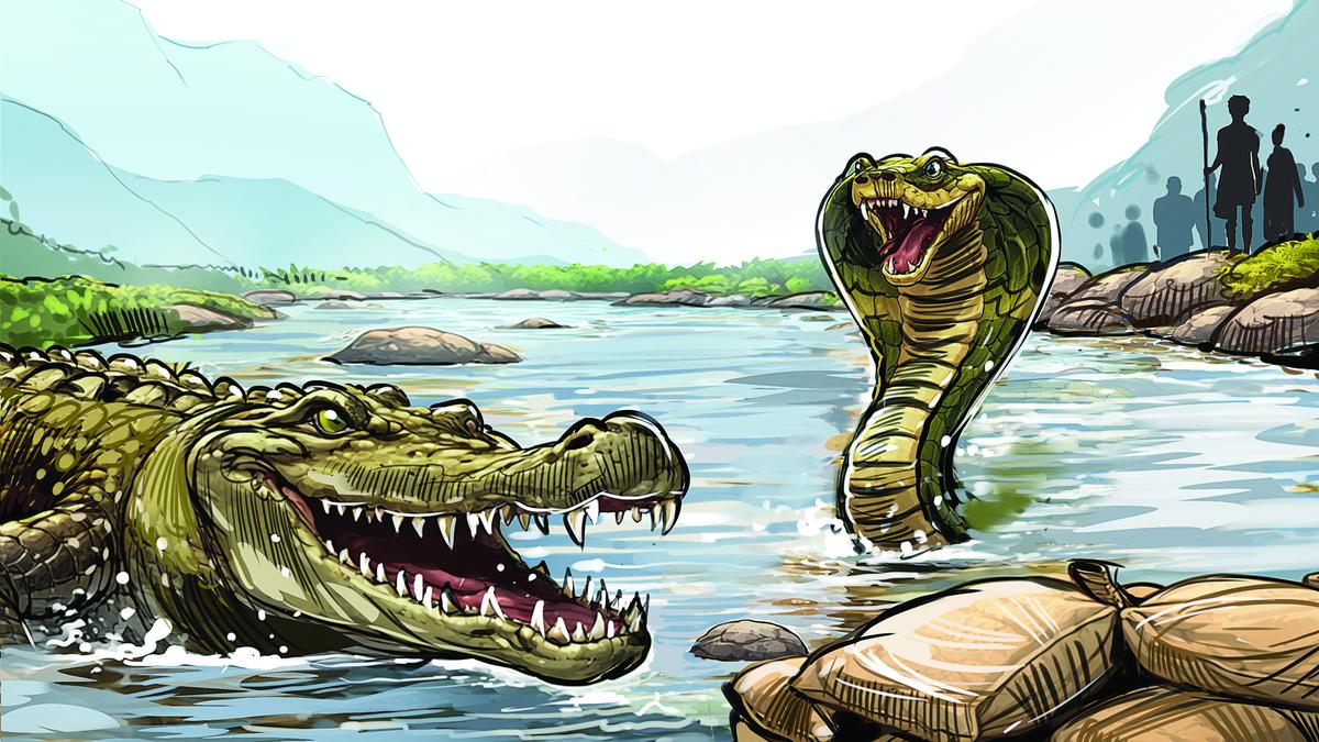 Explore use of snakes and crocodiles in border rivers, BSF tells units