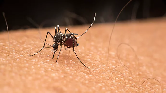 Panvel Launches Malaria Prevention Month to Eliminate Vector-Borne Diseases by